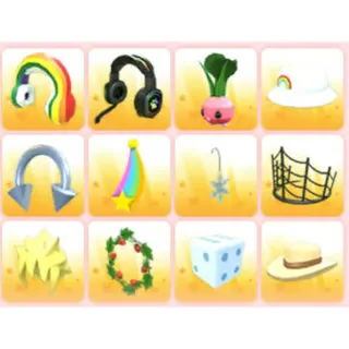 BUNDLE PET WEAR X12