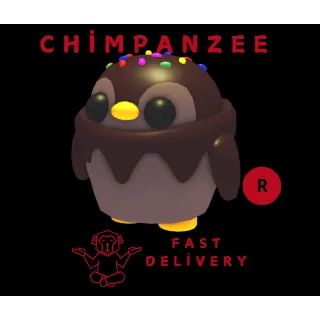 Choco Penguin R