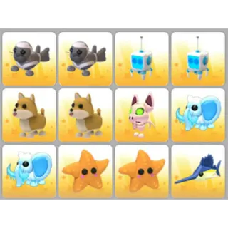 BUNDLE PET X12