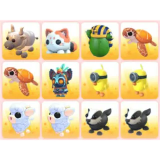 BUNDLE PET X12