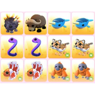 BUNDLE PET X12