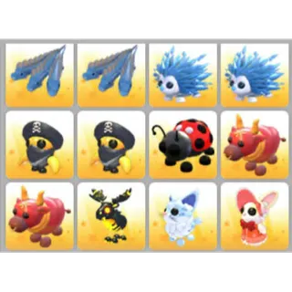BUNDLE PET X12