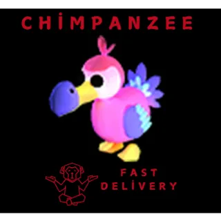 DODO 