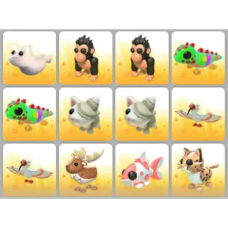 BUNDLE PET X12