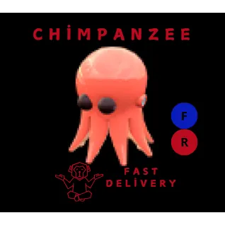 octopus FR
