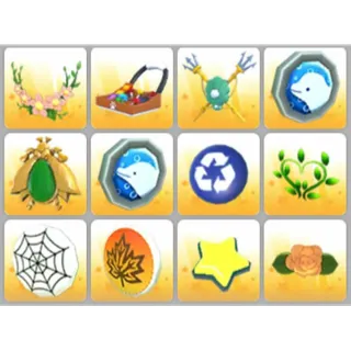 BUNDLE PET WEAR X12