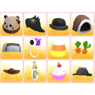 BUNDLE PET WEAR X12