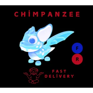 ARCTIC DUSK DRAGON FR