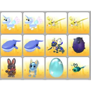 BUNDLE PET X12