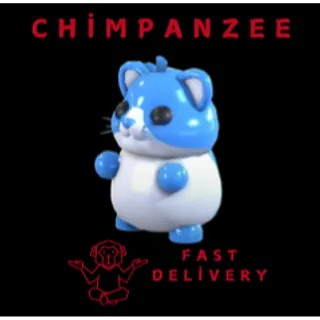 DIAMOND HAMSTER