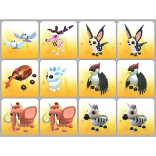 BUNDLE PET X12