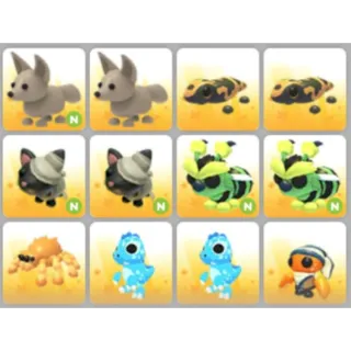 BUNDLE PET X12