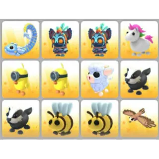 BUNDLE PET X12