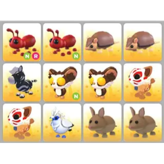 BUNDLE PET X12