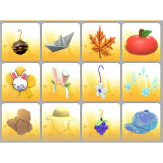 BUNDLE PET WEAR X12
