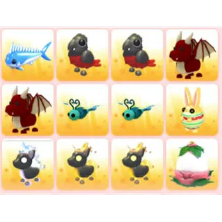 BUNDLE PET X12