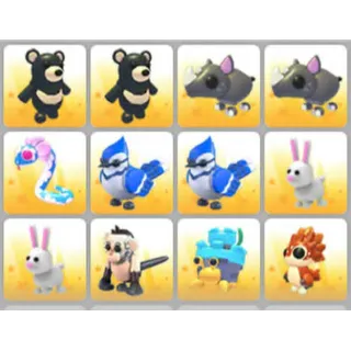 BUNDLE PET X12