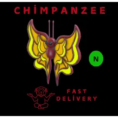 amber butterfly neon