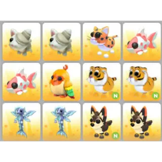 BUNDLE PET X12