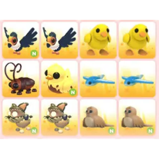 BUNDLE PET X12