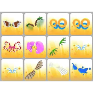 BUNDLE PET WEAR X12