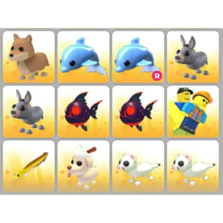 BUNDLE PET X12