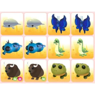 BUNDLE PET X12