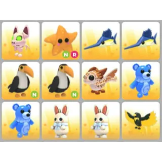 BUNDLE PET X12