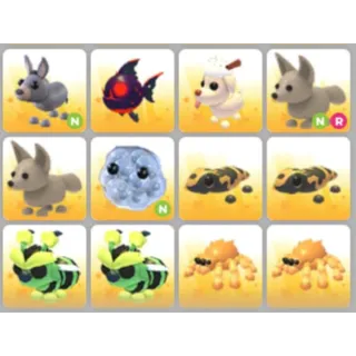 BUNDLE PET X12