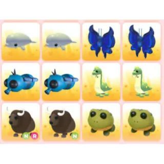 BUNDLE PET X12