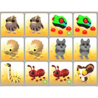 BUNDLE PET X12