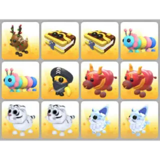 BUNDLE PET X12