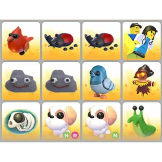 BUNDLE PET X12