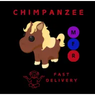 SHETLAND PONY DARK BROWN MFR