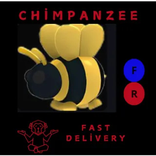 KING BEE FR