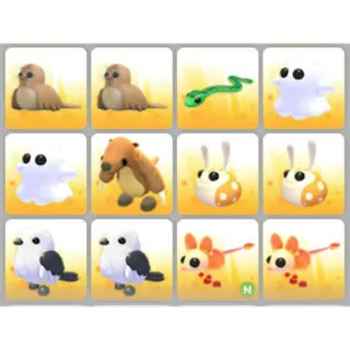 BUNDLE PET X12