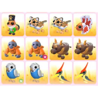 BUNDLE PET X12