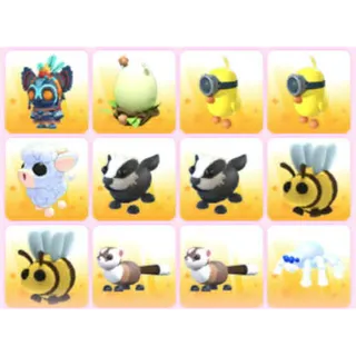 BUNDLE PET X12
