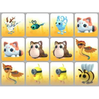 BUNDLE PET X12