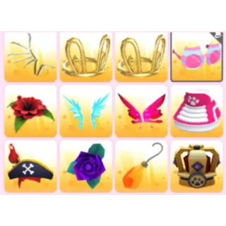 BUNDLE PET WEAR X12