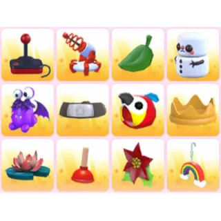 BUNDLE PET WEAR X12
