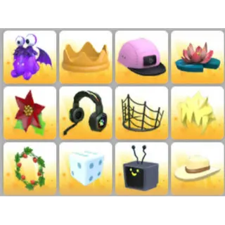 BUNDLE PET WEAR X12