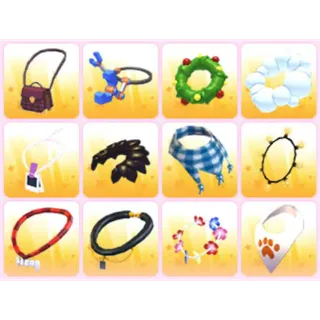 BUNDLE PET WEAR X12