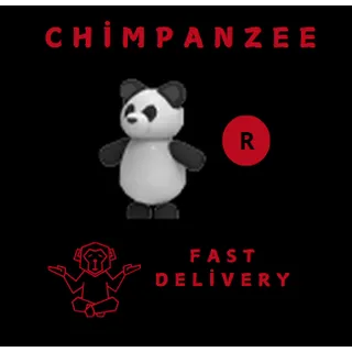 PANDA R