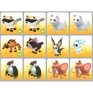 BUNDLE PET X12