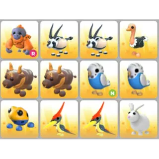 BUNDLE PET X12