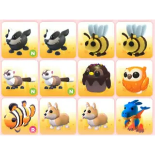 BUNDLE PET X12