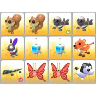 BUNDLE PET X12