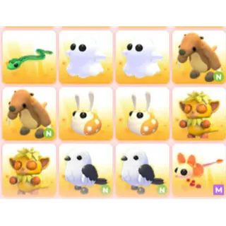 BUNDLE PET X12