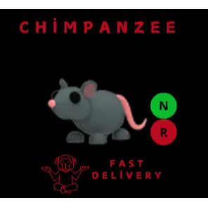 RAT NR